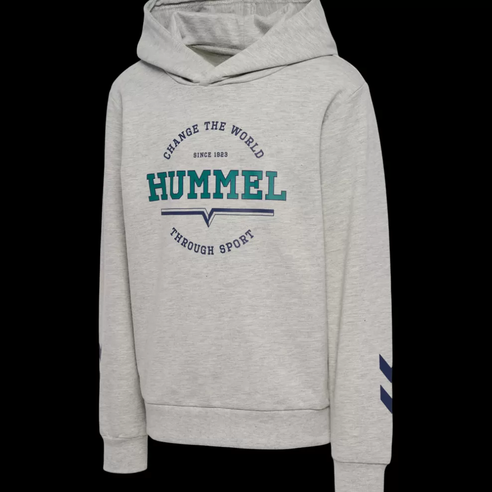 hmlASHER HOODIE*hummel Shop