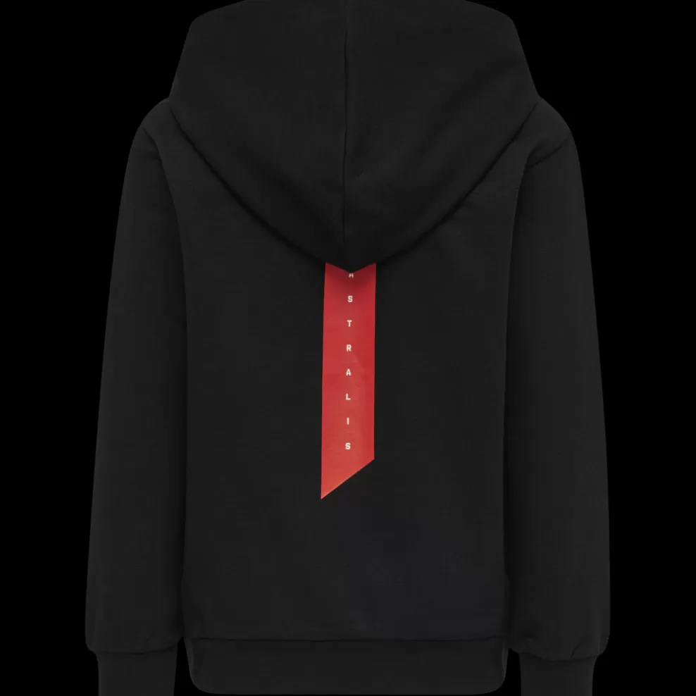 hmlASTRALIS CUATRO HOODIE*hummel Online