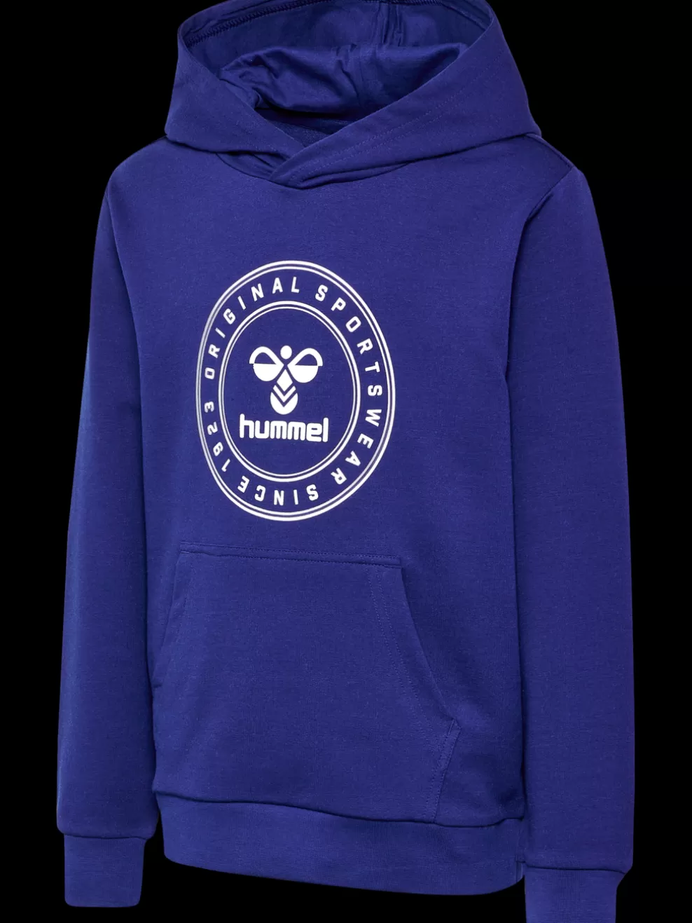 hmlCUATRO CIRCLE HOODIE*hummel Shop