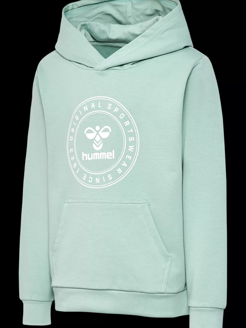hmlCUATRO CIRCLE HOODIE*hummel Cheap