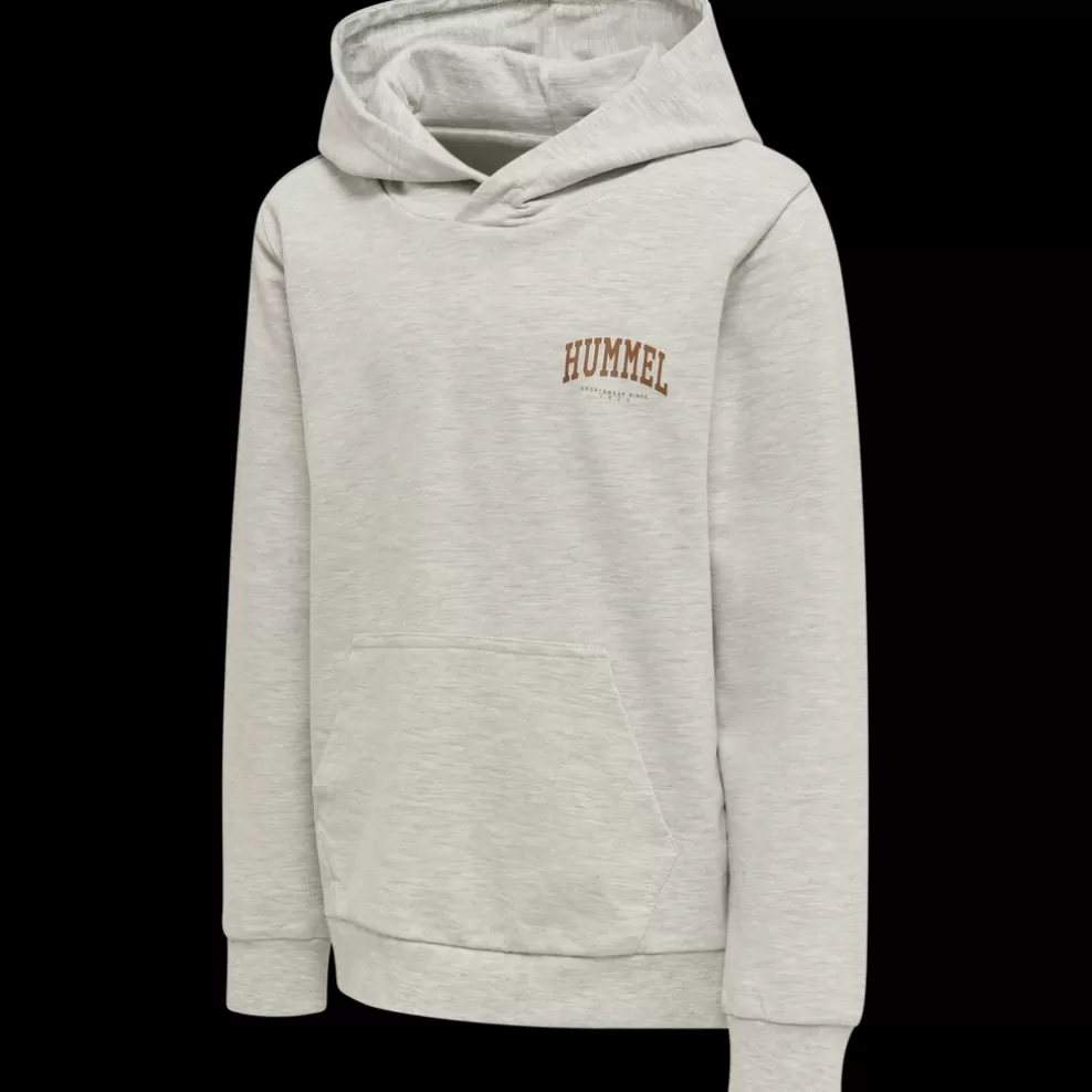 hmlFAST HOODIE*hummel Discount