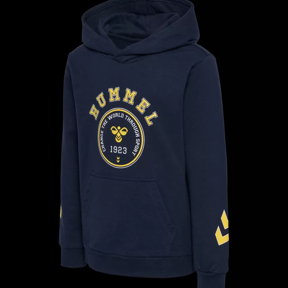 hmlGEOGRAPHY HOODIE*hummel Clearance