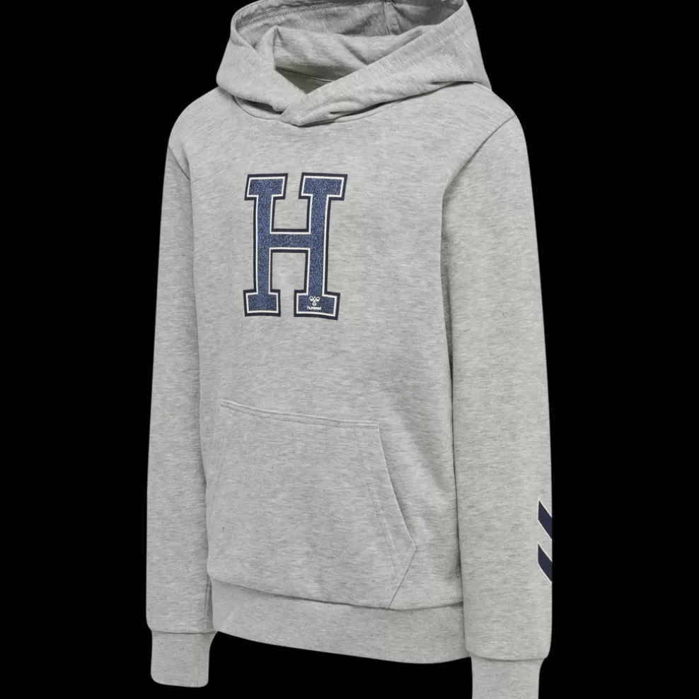 hmlGEOGRAPHY HOODIE*hummel Cheap