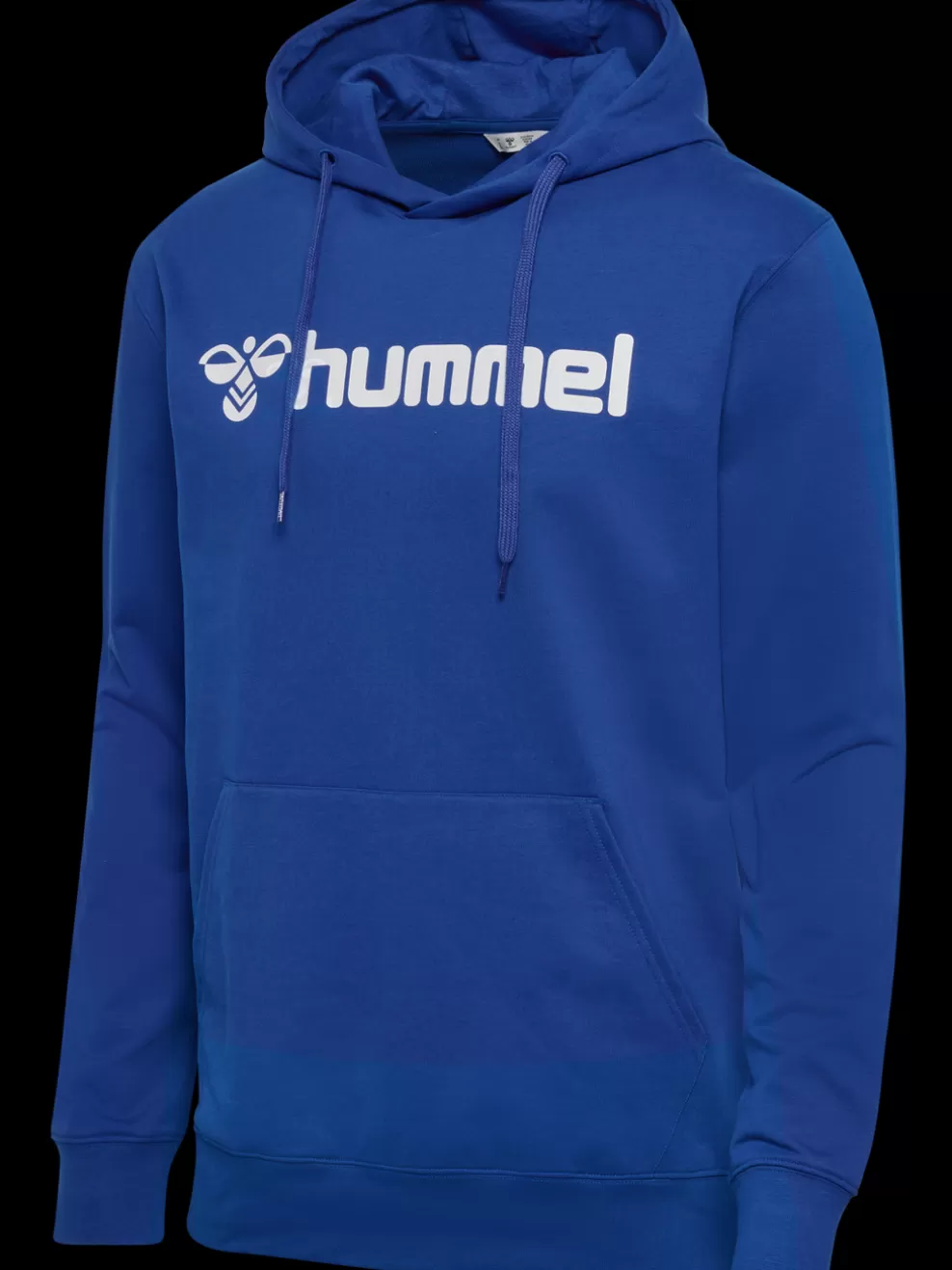 hmlGO 2.0 LOGO HOODIE*hummel Hot