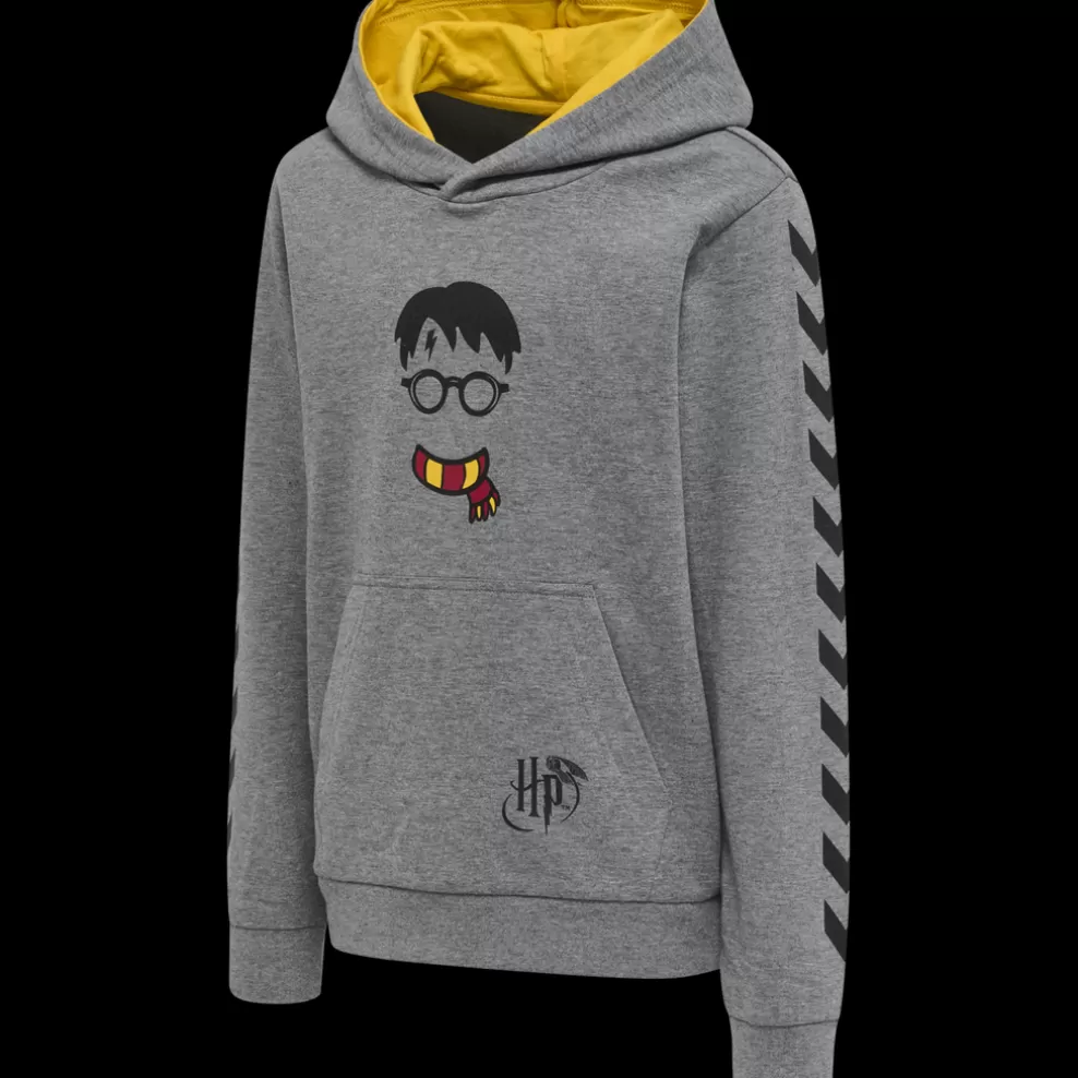 hmlHARRY POTTER CUATRO HOODIE*hummel Store