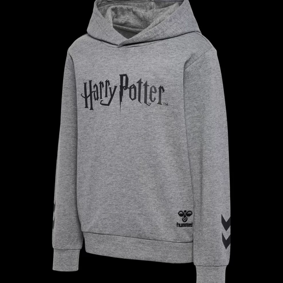 hmlHARRY POTTER HOODIE*hummel Fashion