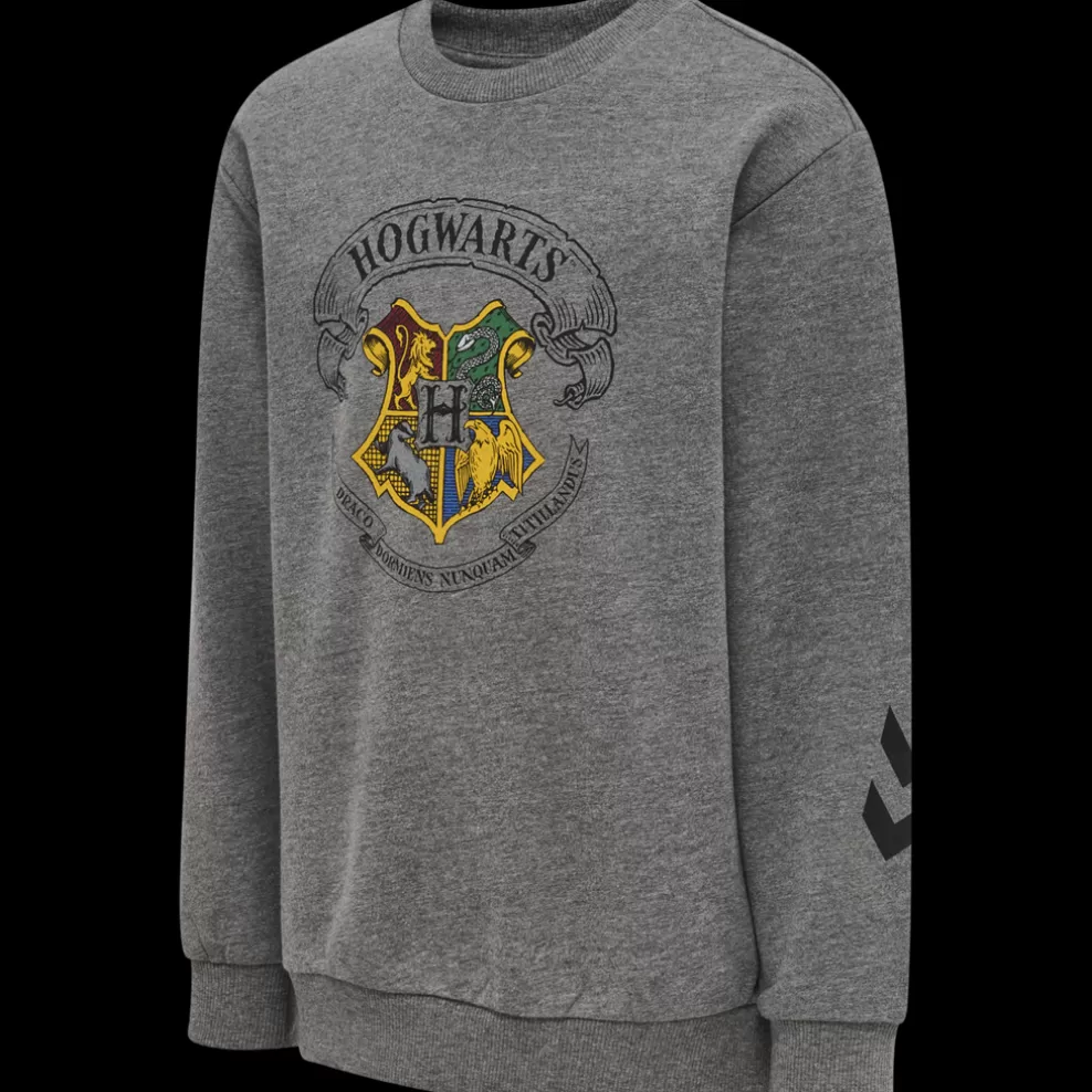 hmlHARRY POTTER SPRING TRACKSUIT*hummel Best