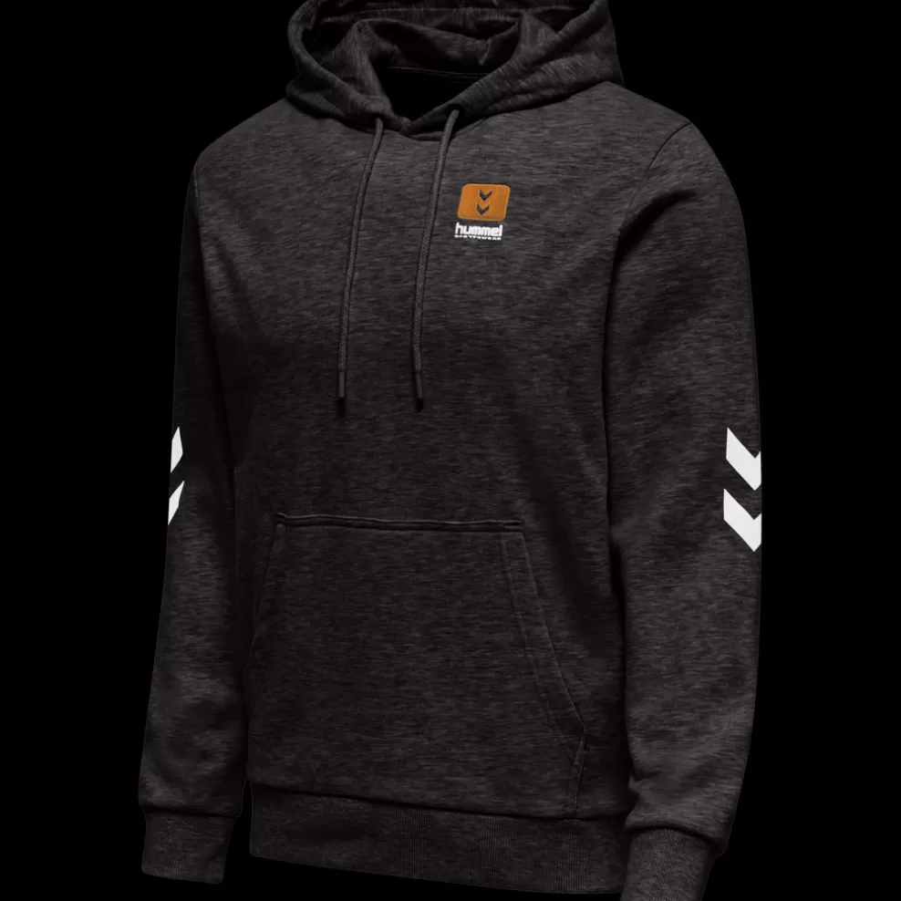 hmlLGC LIAM HOODIE*hummel Shop