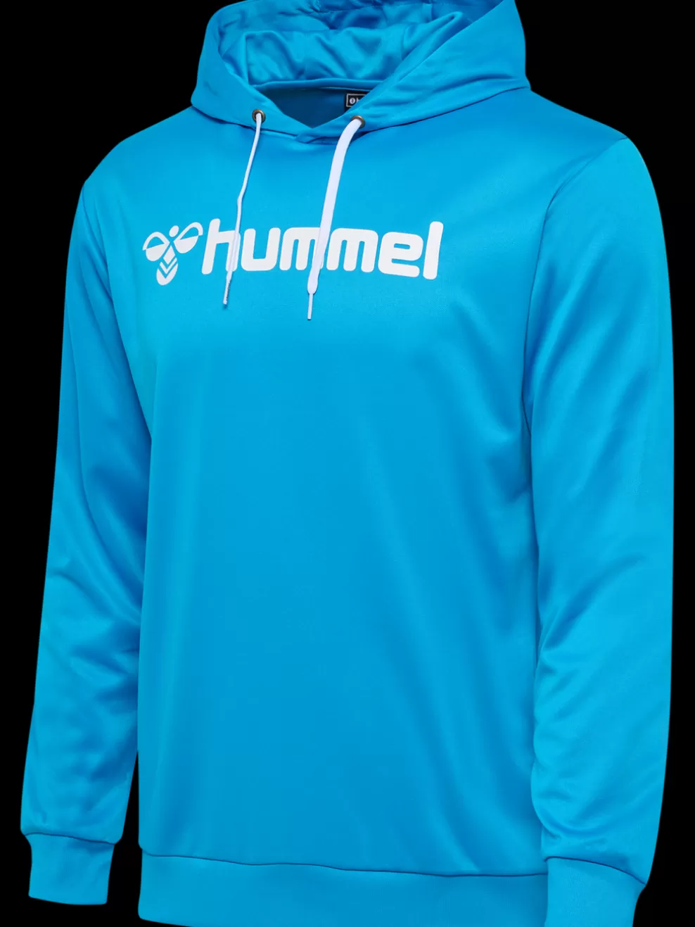 hmlLOGO HOODIE*hummel New