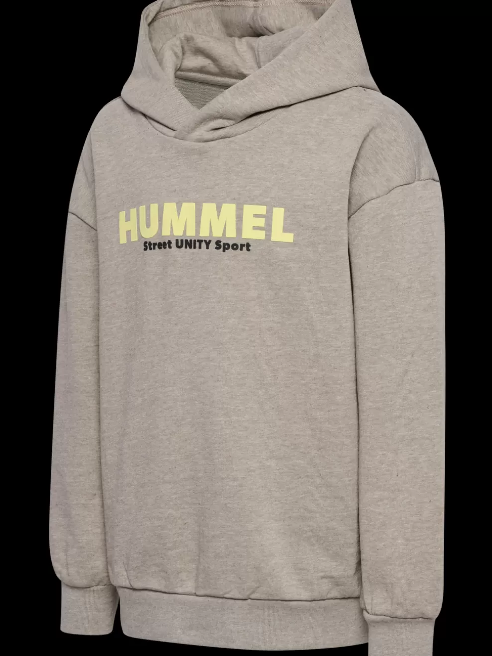 hmlZEN HOODIE*hummel Hot